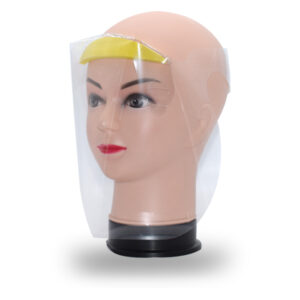 Budget Protector Face Shield